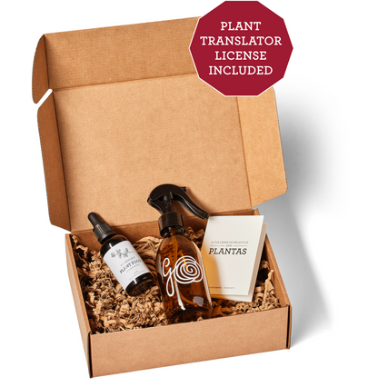 CHRISTMAS GIFTS FOR EMPLOYEES-4